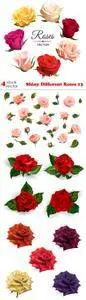 Vectors - Shiny Different Roses 13