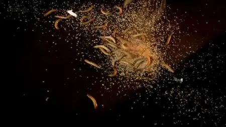 BBC: James May's Man Lab Christmas Special (2011)