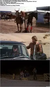 Lone Wolf McQuade (1983)