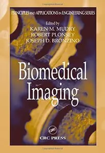 Biomedical Imaging (Principles and Applications in Engineering)