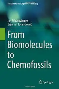 From Biomolecules to Chemofossils