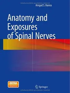 Anatomy and Exposures of Spinal Nerves (Repost)