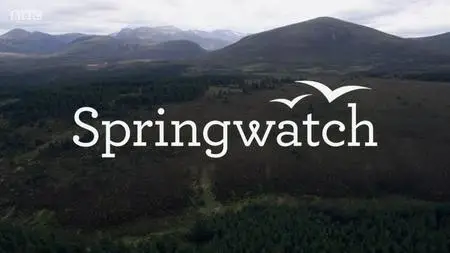 BBC - Springwatch: Wild in the Garden (2019)