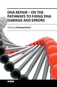 DNA Repair − On the Pathways to Fixing DNA Damage and Errors by Francesca Storici