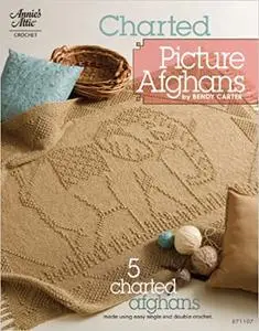 Charted Picture Afghans