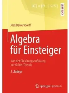 Algebra für Einsteiger: Von der Gleichungsauflösung zur Galois-Theorie (Auflage: 5) [Repost]