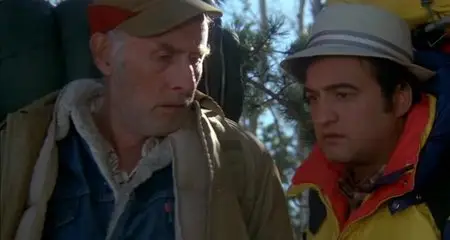 Continental Divide (1981)