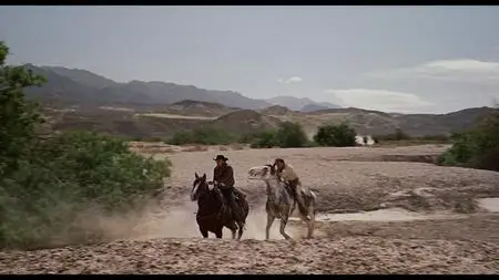 An Unwilling Cowboy (1911)
