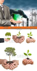 ECO - Citrus sapling in hands photo