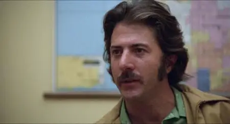 Straight Time (1978)