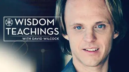 David Wilcock - Wisdom Teachings (Seasons 16-22)