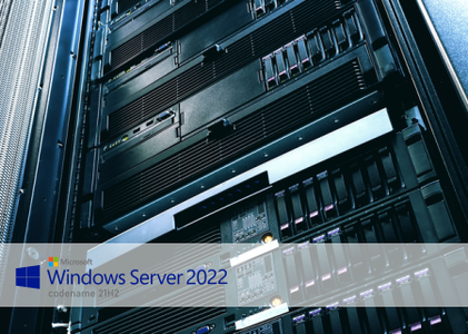 Windows Server 2022 LTSC version 21H2 Build 20348.169 Preview / AvaxHome