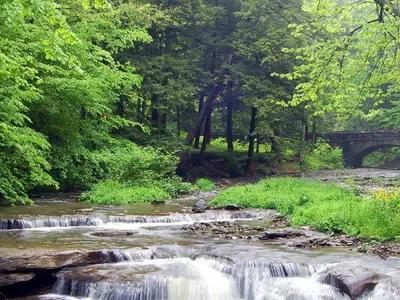 Spring Rain Screensaver 1.0