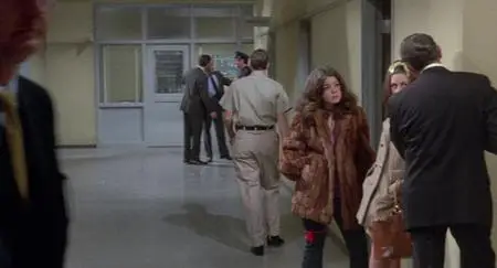 They Call Me Mister Tibbs! (1970)