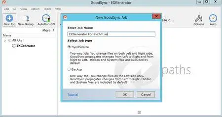 GoodSync Enterprise Multilingual  v10.6.2.2 Portable (x64/x86)