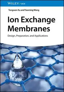 Ion Exchange Membranes: Design, Preparation, and Applications