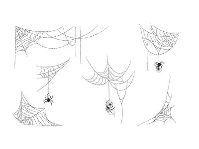 Spider Webs 530154929