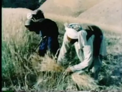 Documentary Educational Resources - Naim and Jabar (1974)