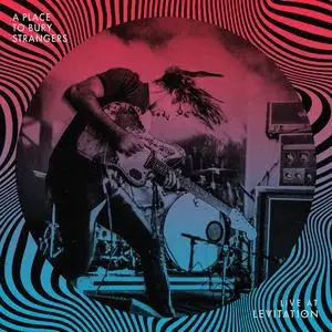A Place To Bury Strangers - Live At LEVITATION (2023) [Official Digital Download]