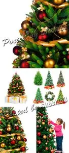 Stock Photo - Christmas Tree