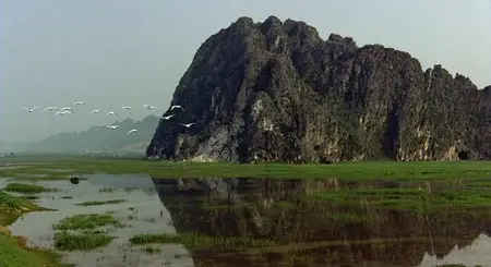 Winged Migration - by Jacques Perrin, Jacques Cluzaud, Michel Debats (2001)