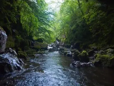 Britannia S01E01