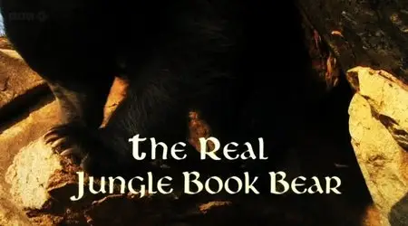 BBC Natural World - The Real Jungle Book Bear (2012)