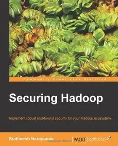 Securing Hadoop (Repost)