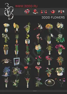3DDD Flowers 3D Models for 3ds Max
