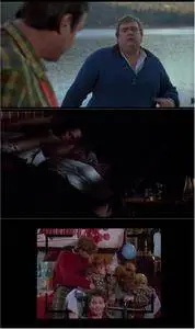 The Great Outdoors (1988)
