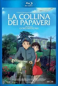 La Collina dei Papaveri (2011)