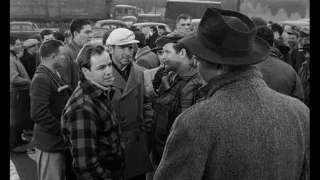 On the Waterfront (1954) [The Criterion Collection #647]