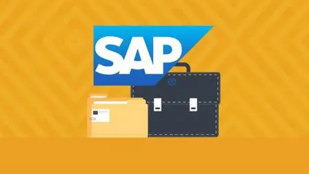 Sap Business One B1 Advance Professional Training