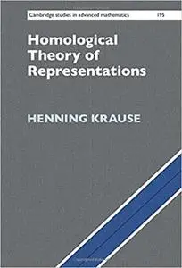 Homological Theory of Representations