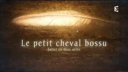 (Fr3) Le Petit Cheval bossu (2017)