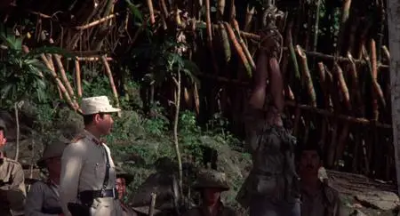 Missing in Action 2: The Beginning (1985)