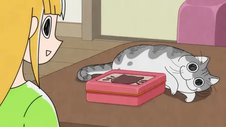 Nights with a Cat - 88
