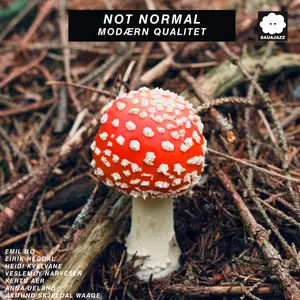 Not Normal - Modærn Qualitet (2025) [Official Digital Download 24/96]
