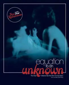 Équation à un inconnu / Equation to an Unknown (1980) [MultiSubs]