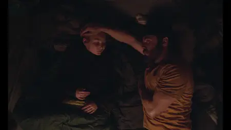 Light of My Life (2019)