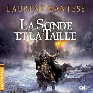 Laurent Mantese, "La sonde et la taille"