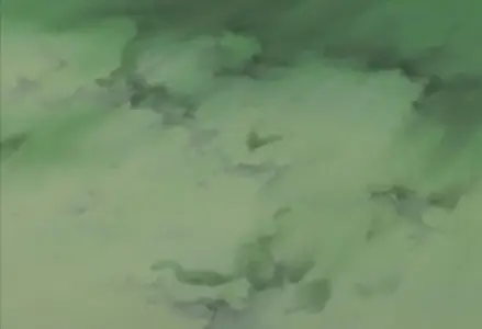 Gokudo 06v2
