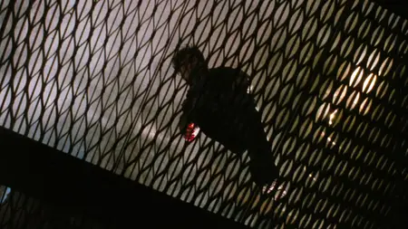 Freddy's Dead: The Final Nightmare (1991)