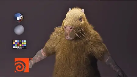 Fundamentals Of Fur Grooming In Houdini