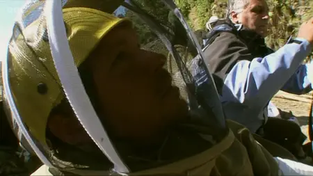 BBC Natural World - Jimmy and the Wild Honey Hunters (2008)