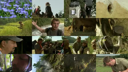 BBC Natural World - Jimmy and the Wild Honey Hunters (2008)