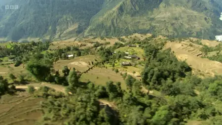 BBC Natural World - Jimmy and the Wild Honey Hunters (2008)