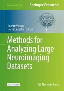 Methods for Analyzing Large Neuroimaging Datasets (Repost)