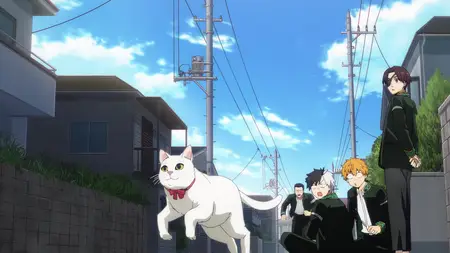 Wind Breaker S01E12 1080p WEB H 264 NanDesuKa (B Global