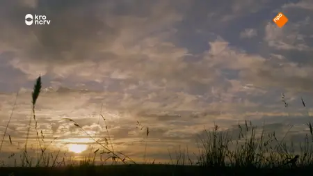 Poldark S03E06